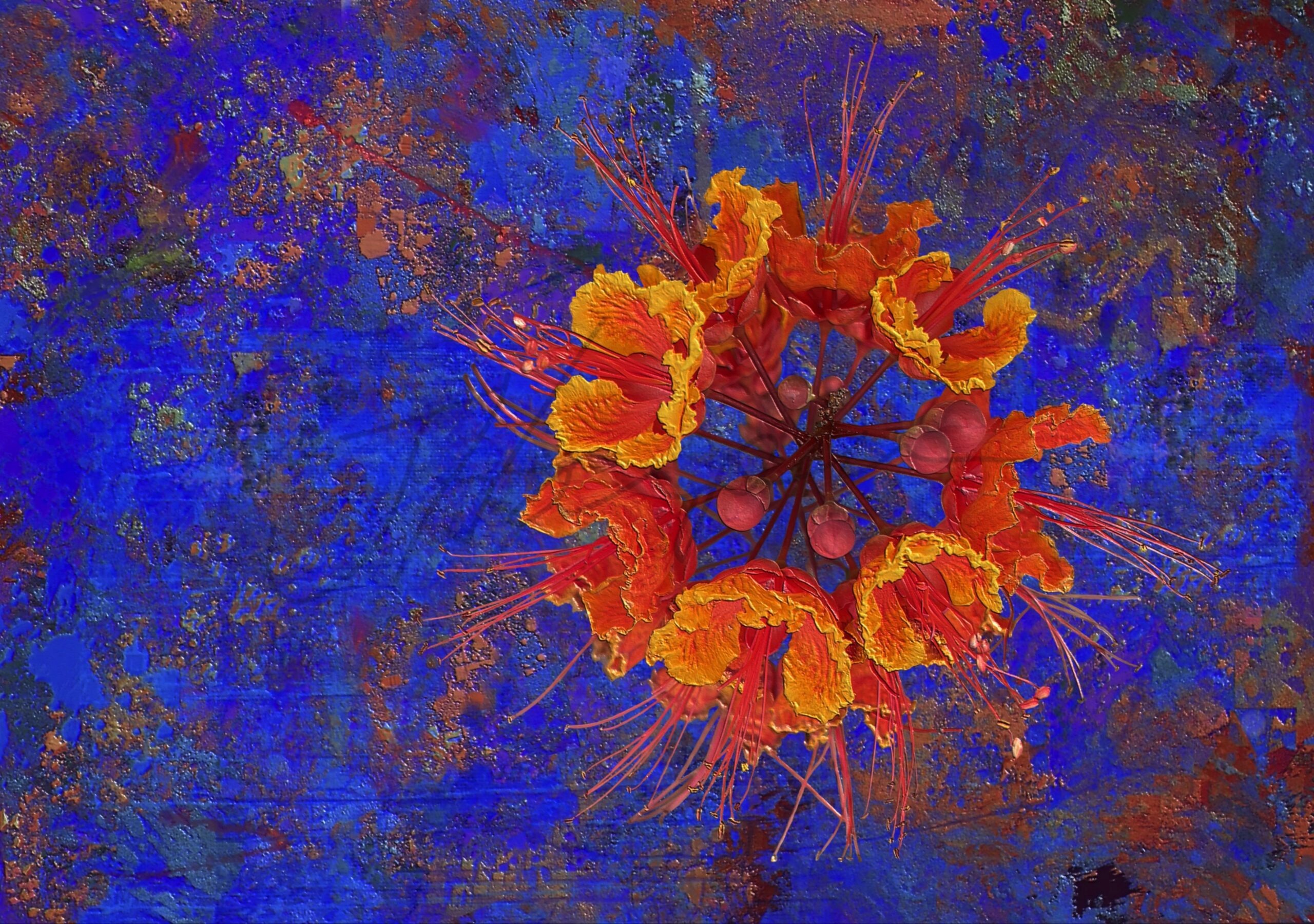 Dark blue floral desert scene